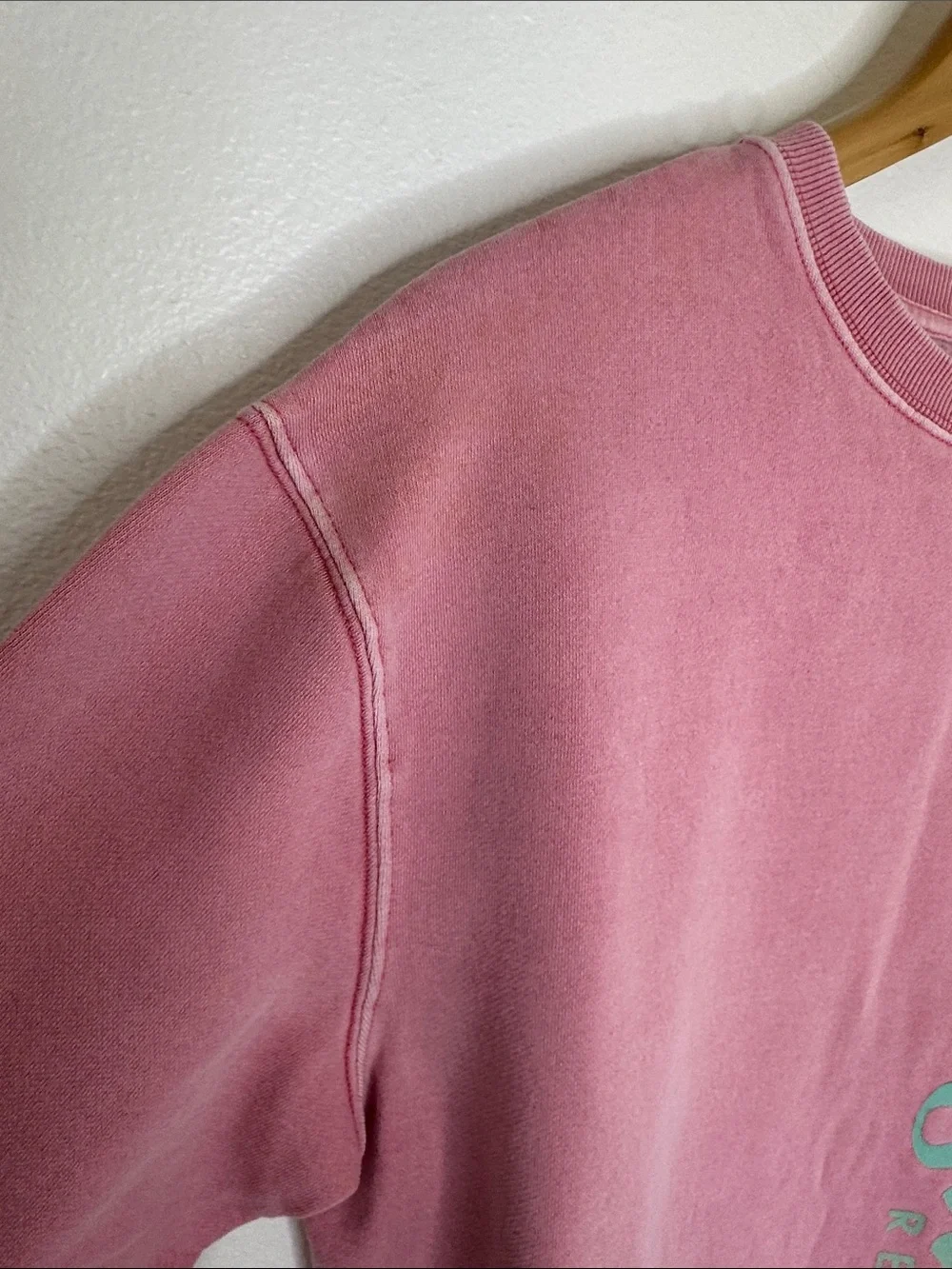 Disney Disneyland Resort Pink Crewneck Sweatshirt with Rainbow Vertical Logo